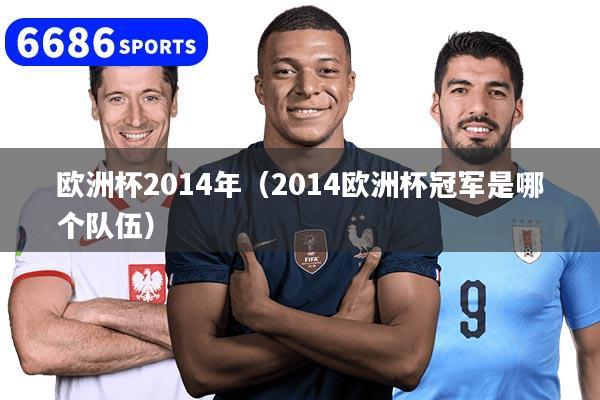 欧洲杯2014年(2014欧洲杯冠军是哪个队伍)