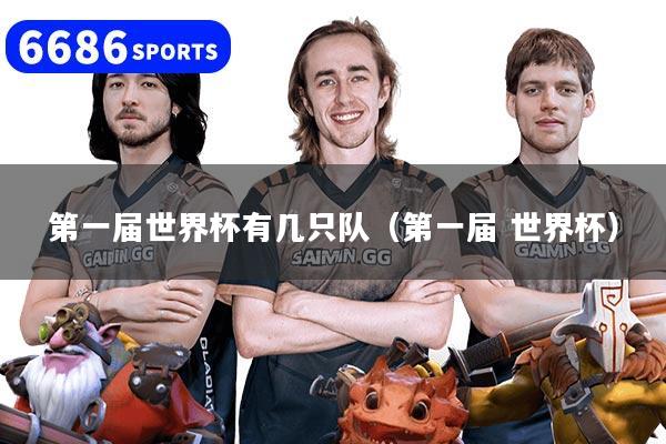第一届世界杯有几只队(第一届 世界杯)