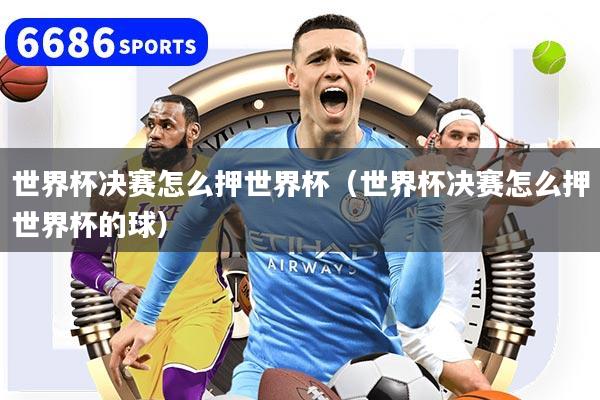 世界杯决赛怎么押世界杯（世界杯决赛怎么押世界杯的球）