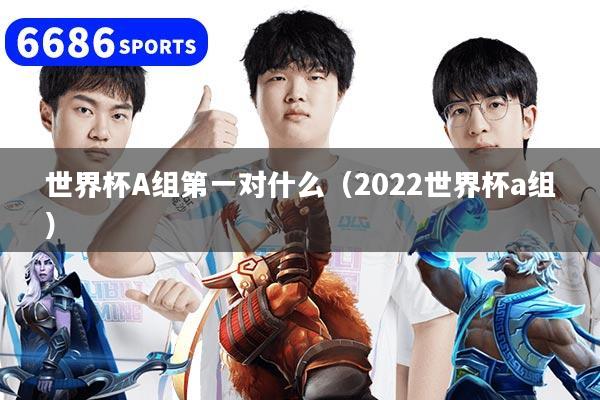 世界杯A组第一对什么（2022世界杯a组）